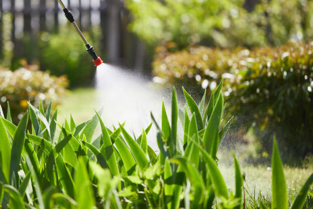 24/7 Emergency Mosquito Control experts in Walkerton, IN