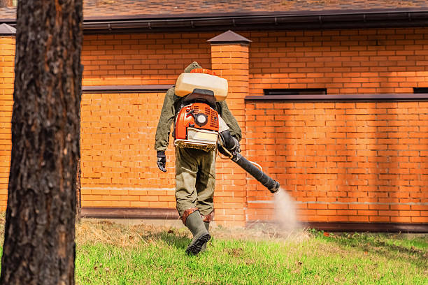 Top rated local Mosquito Control specialists in Walkerton, IN